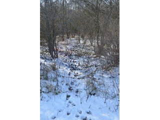 54.7 Acres with 50 tillable and 4.3 wooded.  Surrounded by heavy deer population on CRP land.  Great trophy deer hunting on established food plots.  Hunting tower.

Receive income on tillable acres while abundance of deer hunting on established food plot. - Great Investment Opportunity - Tillable Land, Recreation & Building Site
